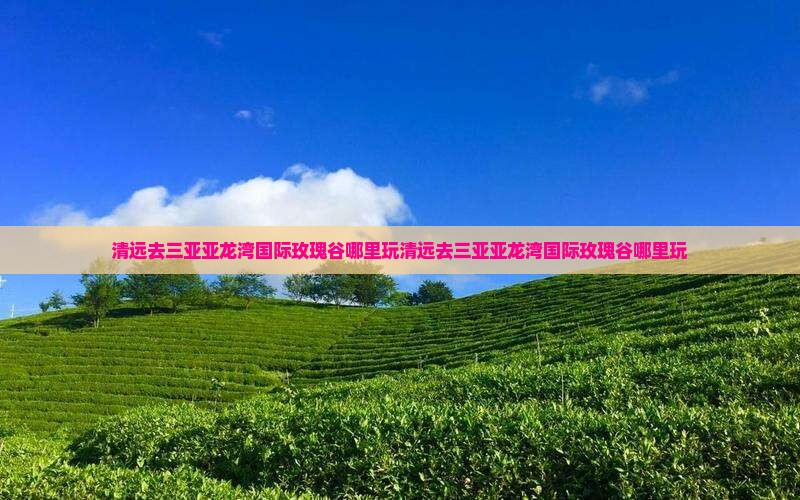 清远去三亚亚龙湾国际玫瑰谷哪里玩