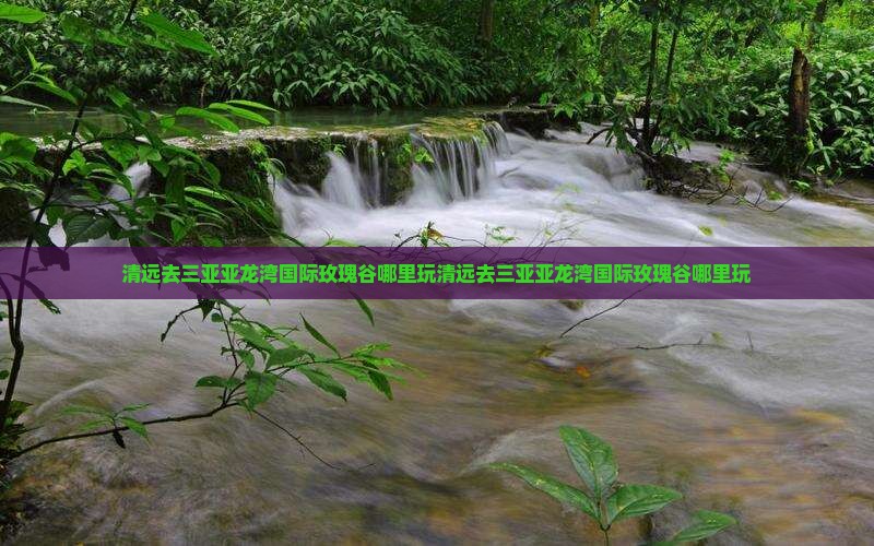 清远去三亚亚龙湾国际玫瑰谷哪里玩