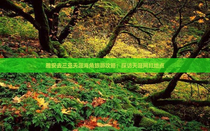 雅安去三亚天涯海角旅游网红地点