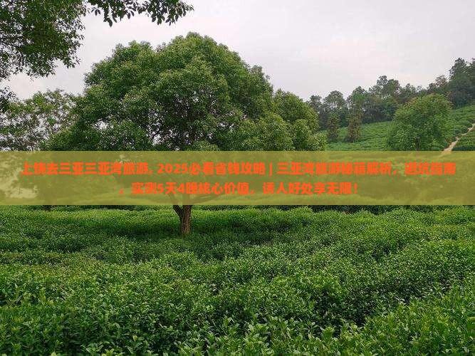 上饶去三亚三亚湾旅游