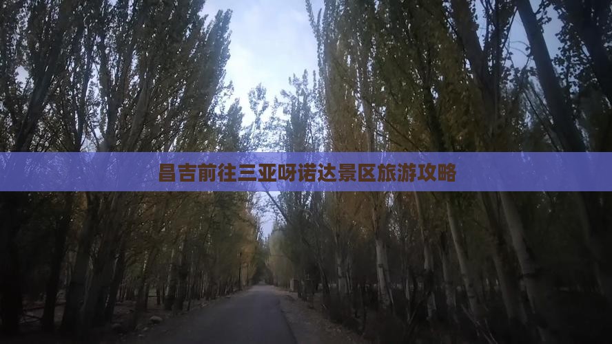 昌吉前往三亚呀诺达景区个人游