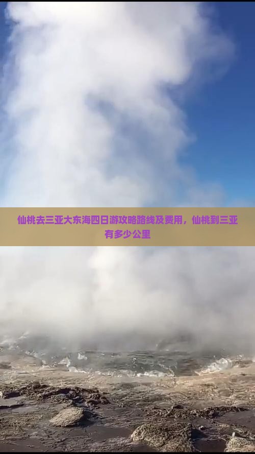 仙桃去三亚大东海四日游