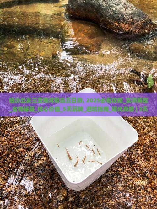 临汾出发三亚南湾猴岛五日游