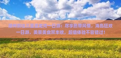 潮州前往三亚亚龙湾一日游
