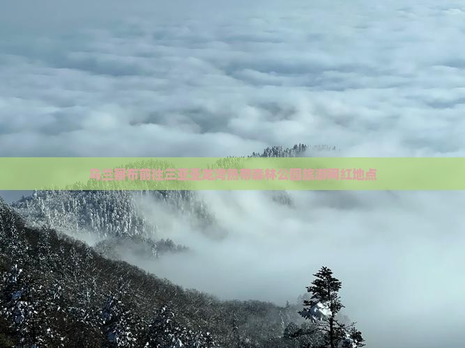 乌兰察布前往三亚亚龙湾热带森林公园旅游网红地点