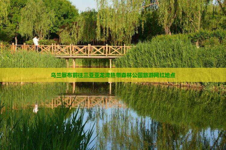乌兰察布前往三亚亚龙湾热带森林公园旅游网红地点