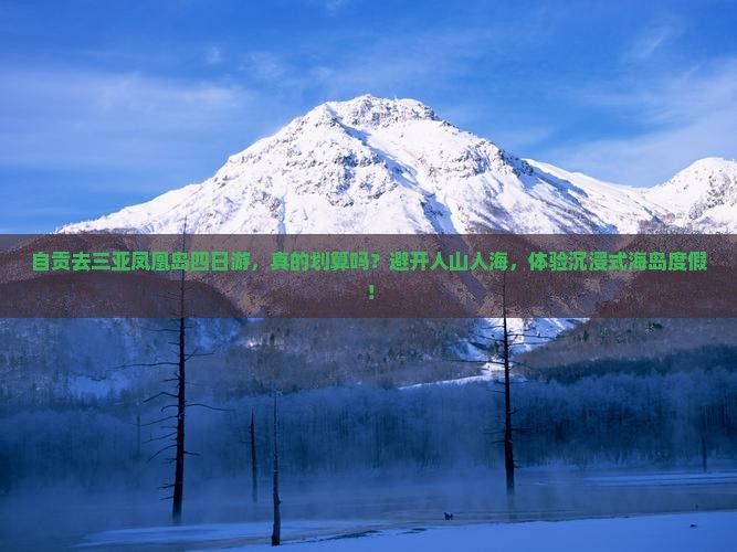 自贡去三亚凤凰岛四日游