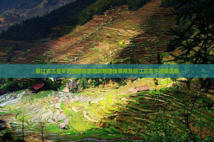 丽江去三亚千古情团体旅游