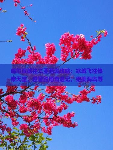 哈尔滨前往三亚西岛攻略