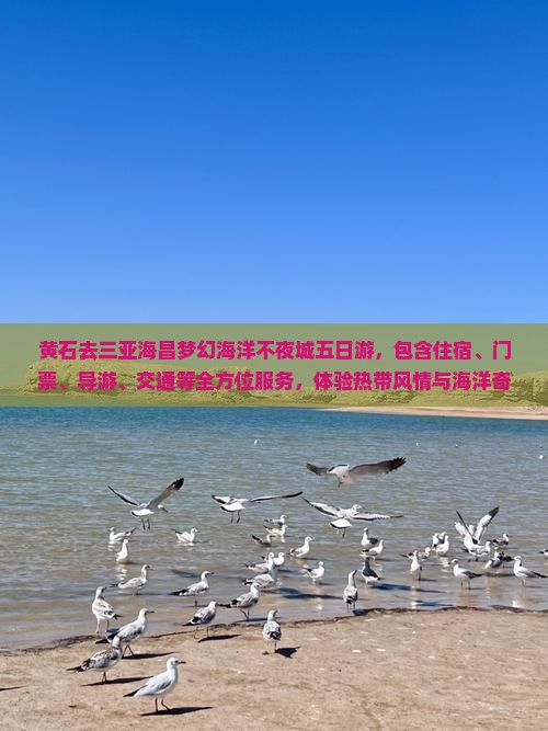 黄石去三亚海昌梦幻海洋不夜城五日游