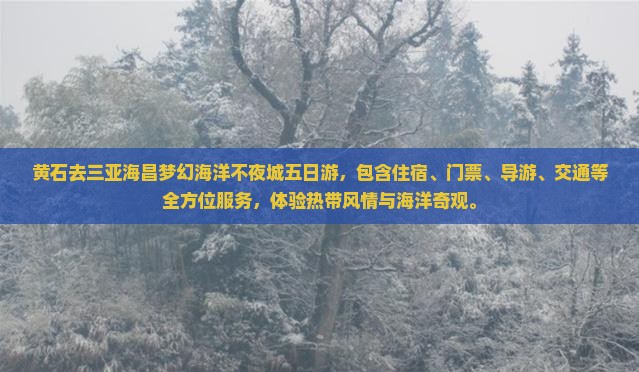 黄石去三亚海昌梦幻海洋不夜城五日游