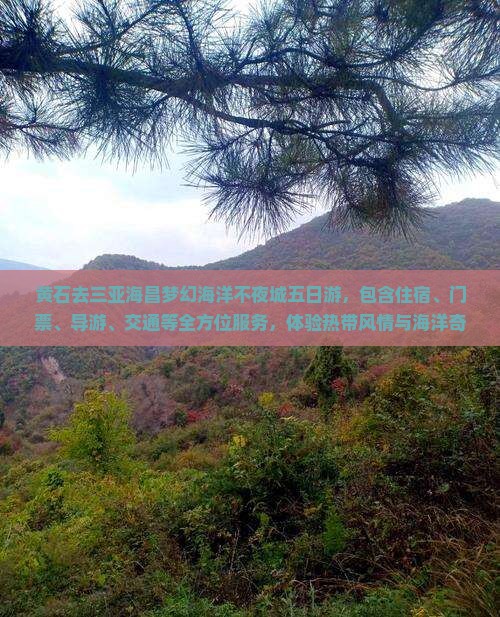 黄石去三亚海昌梦幻海洋不夜城五日游