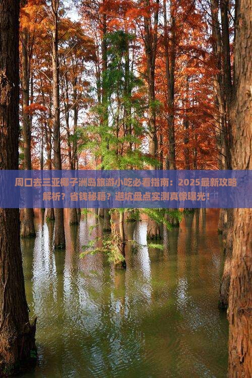 周口去三亚椰子洲岛旅游小吃