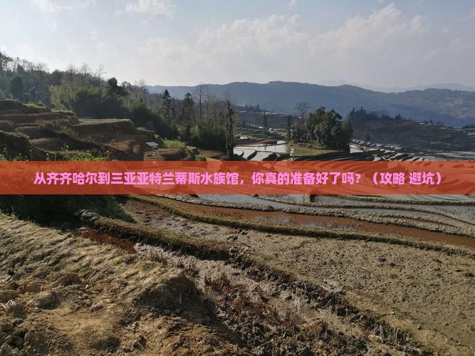 齐齐哈尔出发三亚亚特兰蒂斯水族馆自由行