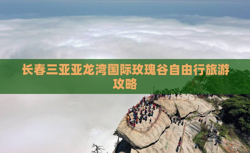 长春去三亚亚龙湾国际玫瑰谷自由行