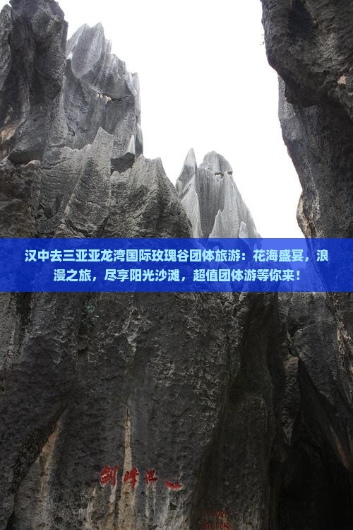 汉中去三亚亚龙湾国际玫瑰谷团体旅游