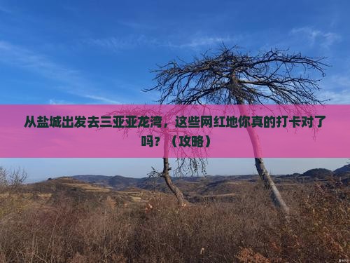 盐城出发三亚亚龙湾旅游网红地点