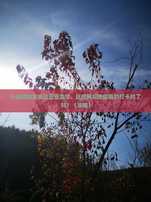 盐城出发三亚亚龙湾旅游网红地点