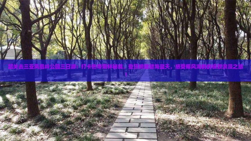 韶关去三亚凤凰岭公园三日游