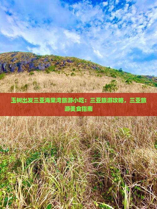 玉树出发三亚海棠湾旅游小吃
