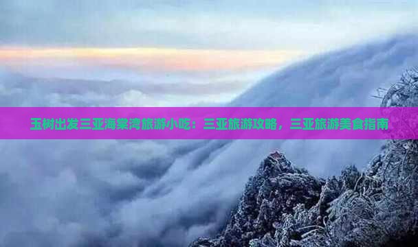 玉树出发三亚海棠湾旅游小吃