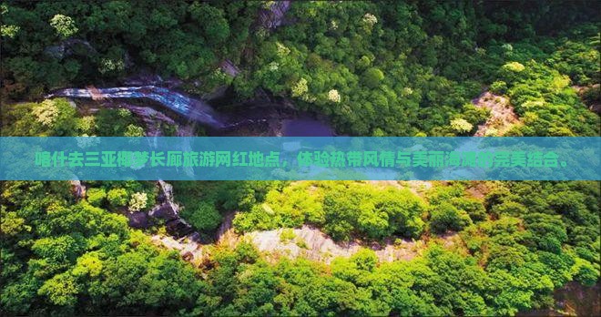 喀什去三亚椰梦长廊旅游网红地点