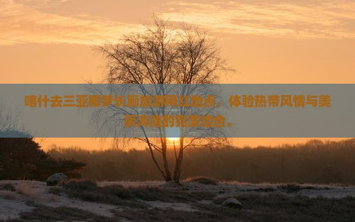 喀什去三亚椰梦长廊旅游网红地点