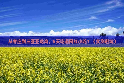 枣庄出发三亚亚龙湾旅游小吃