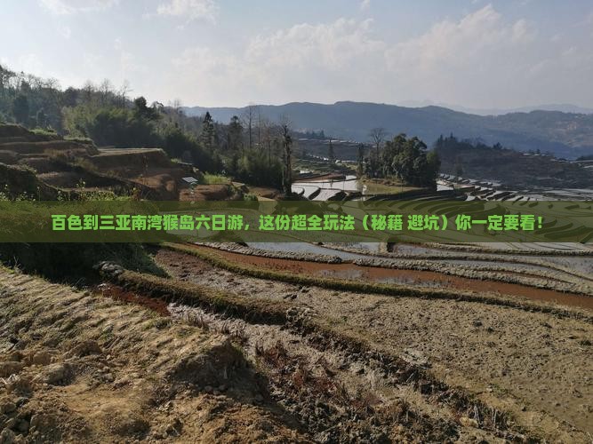 百色前往三亚南湾猴岛六日游