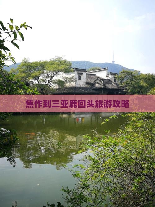 焦作前往三亚鹿回头自由行