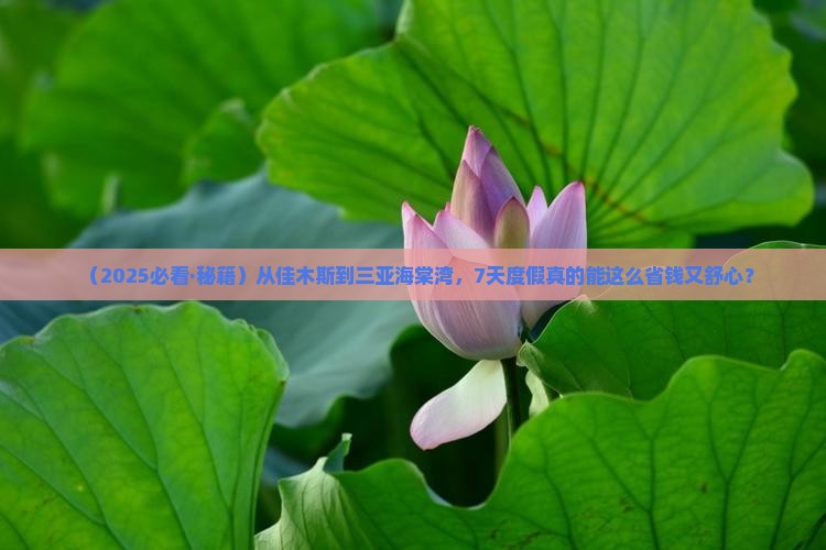 佳木斯去三亚海棠湾七日游