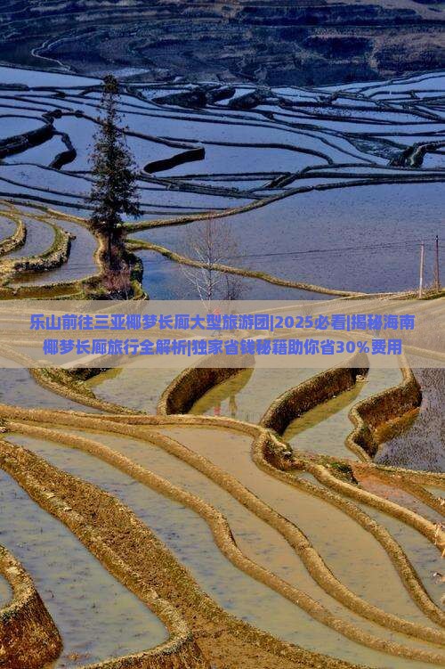 乐山前往三亚椰梦长廊大型旅游团