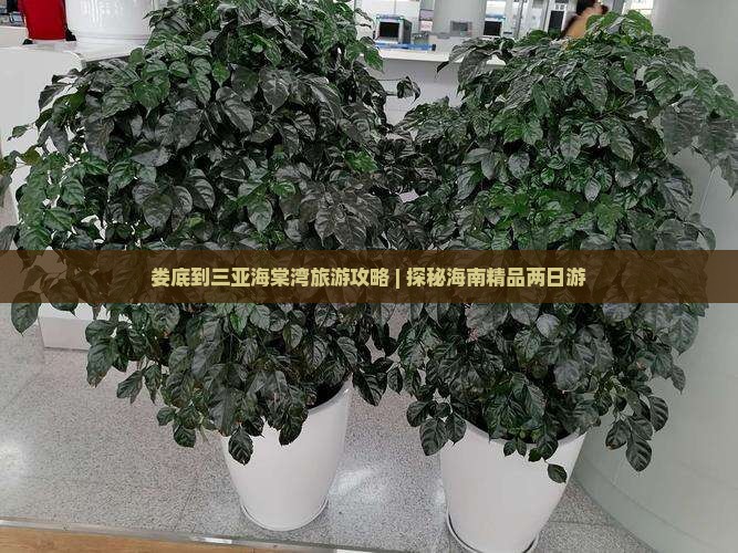 娄底出发三亚海棠湾二日游