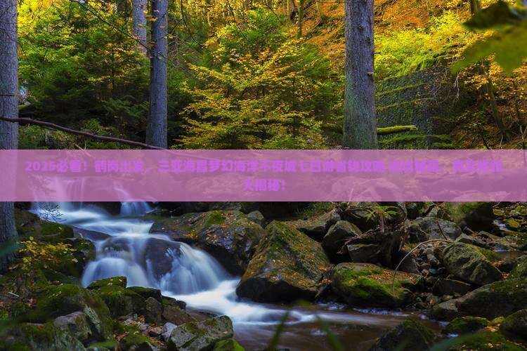 鹤岗去三亚海昌梦幻海洋不夜城七日游