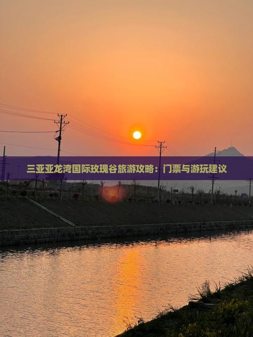 东营去三亚亚龙湾国际玫瑰谷哪里玩