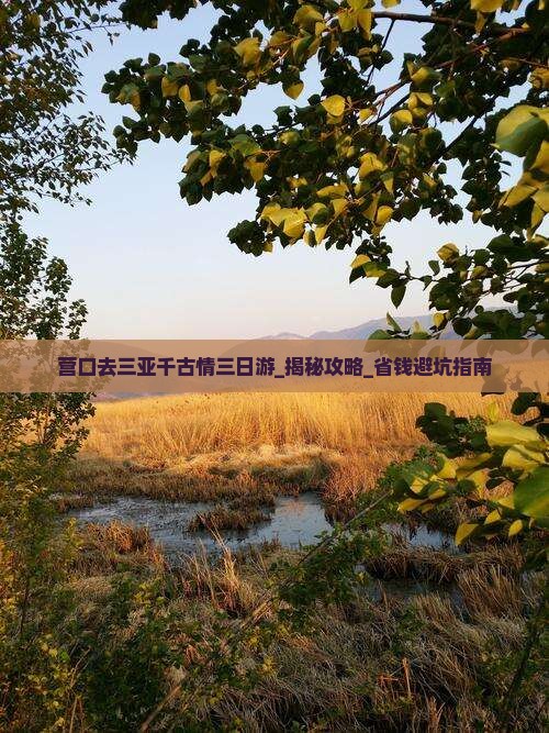 营口去三亚千古情三日游