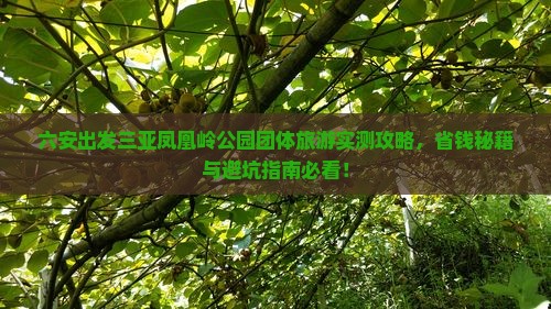 六安出发三亚凤凰岭公园团体旅游