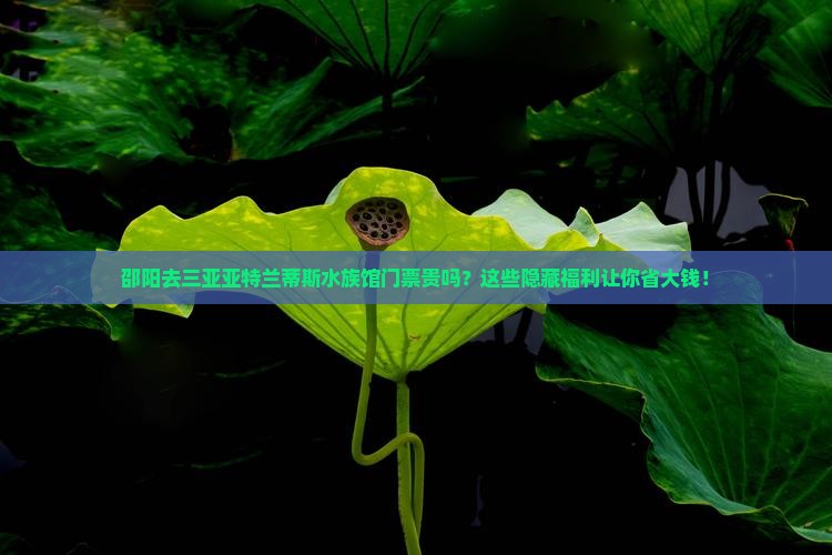 邵阳前往三亚亚特兰蒂斯水族馆门票