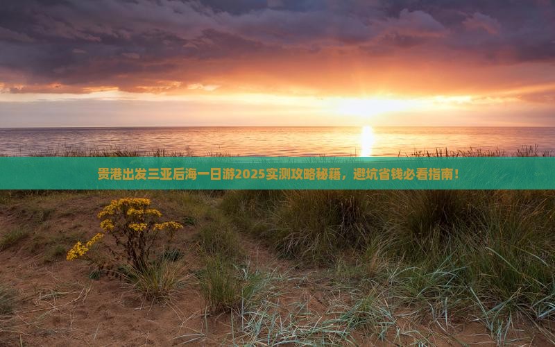 贵港出发三亚后海一日游