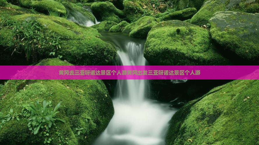 黄冈去三亚呀诺达景区个人游
