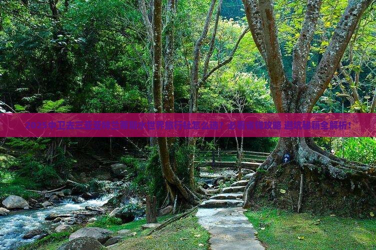 中卫去三亚亚特兰蒂斯水世界旅行社