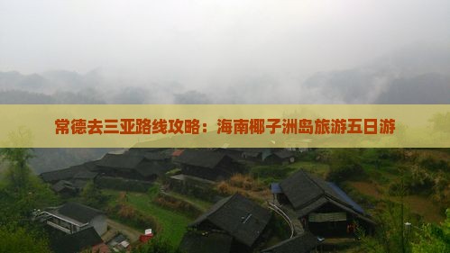 常德去三亚椰子洲岛五日游