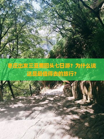 枣庄出发三亚鹿回头七日游
