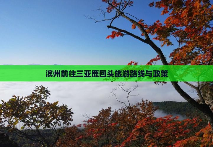 滨州前往三亚鹿回头旅游
