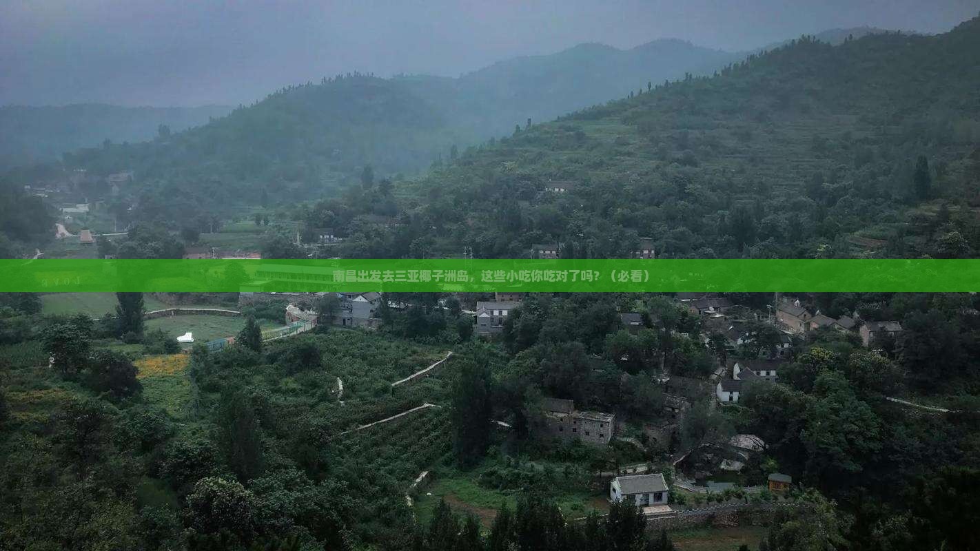 南昌出发三亚椰子洲岛旅游小吃