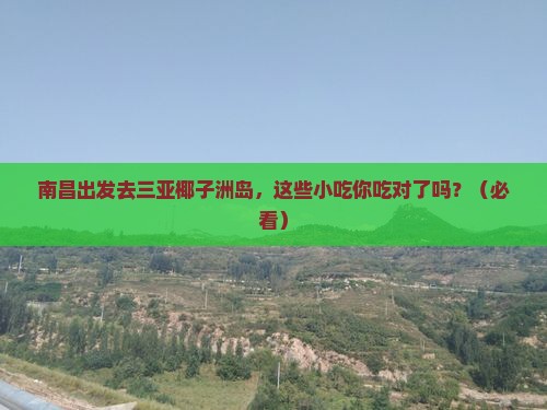 南昌出发三亚椰子洲岛旅游小吃