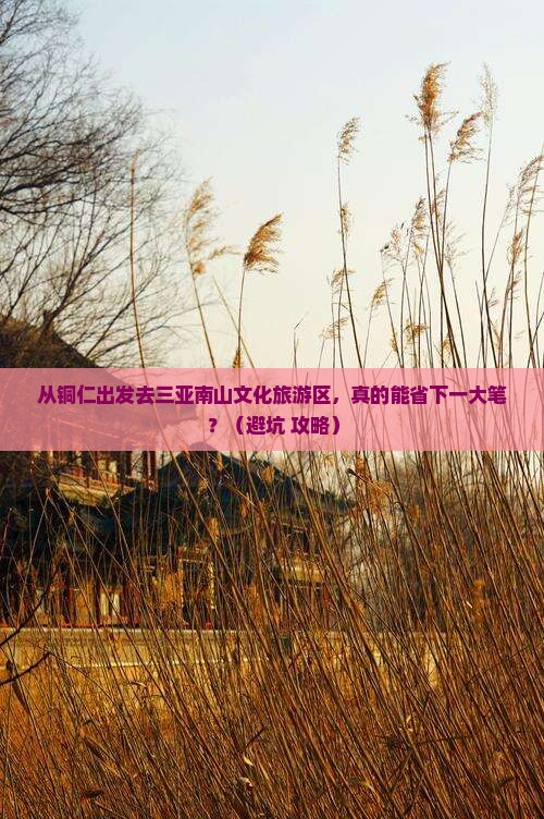 铜仁去三亚南山文化旅游区旅行社