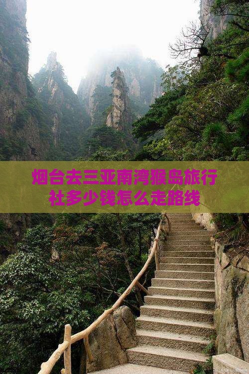 烟台去三亚南湾猴岛旅行社