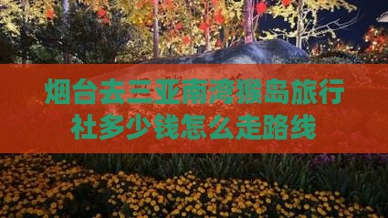 烟台去三亚南湾猴岛旅行社