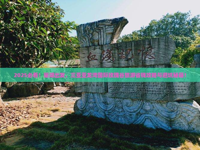 巢湖前往三亚亚龙湾国际玫瑰谷旅游